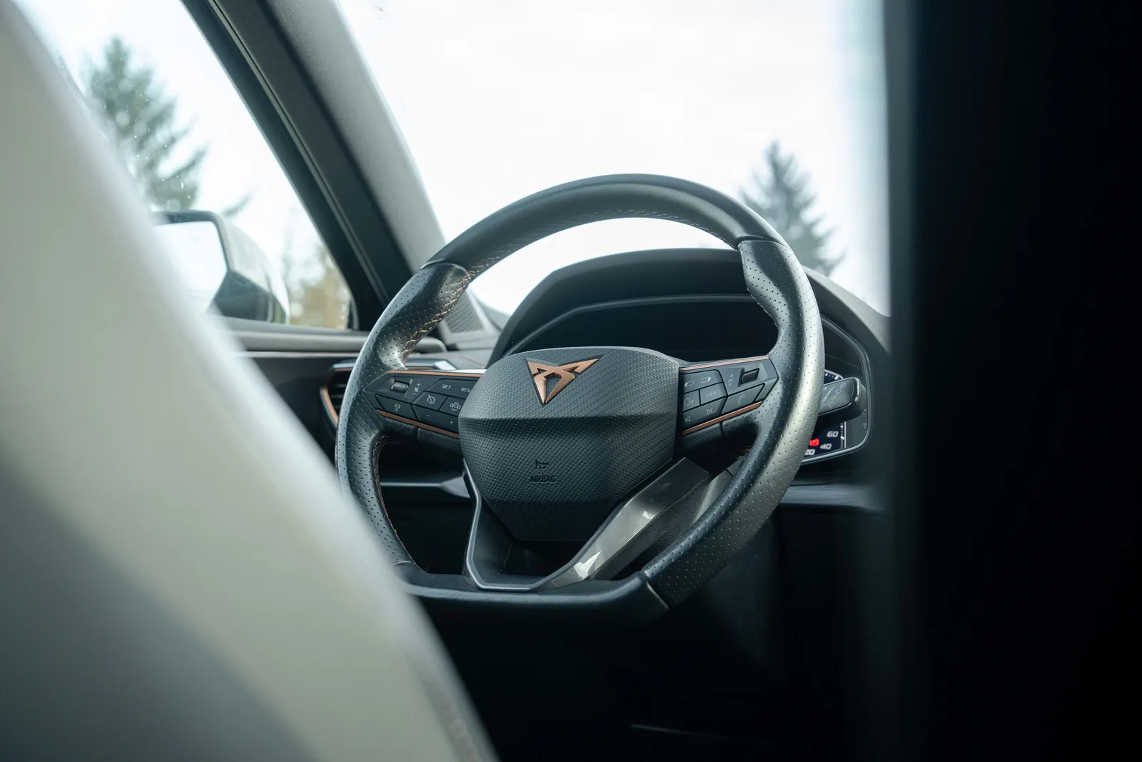 Cupra Formentor — zdjęcie 16 z 23